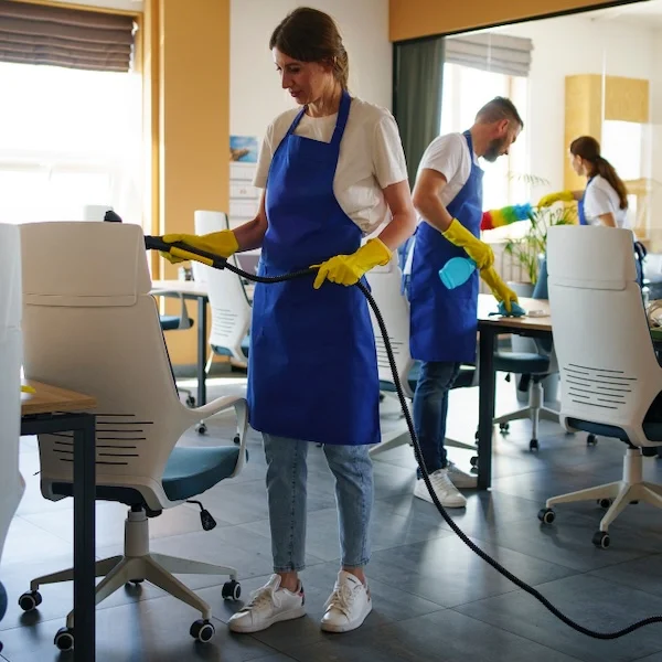 Serviço de limpeza profissional Ultra Limp